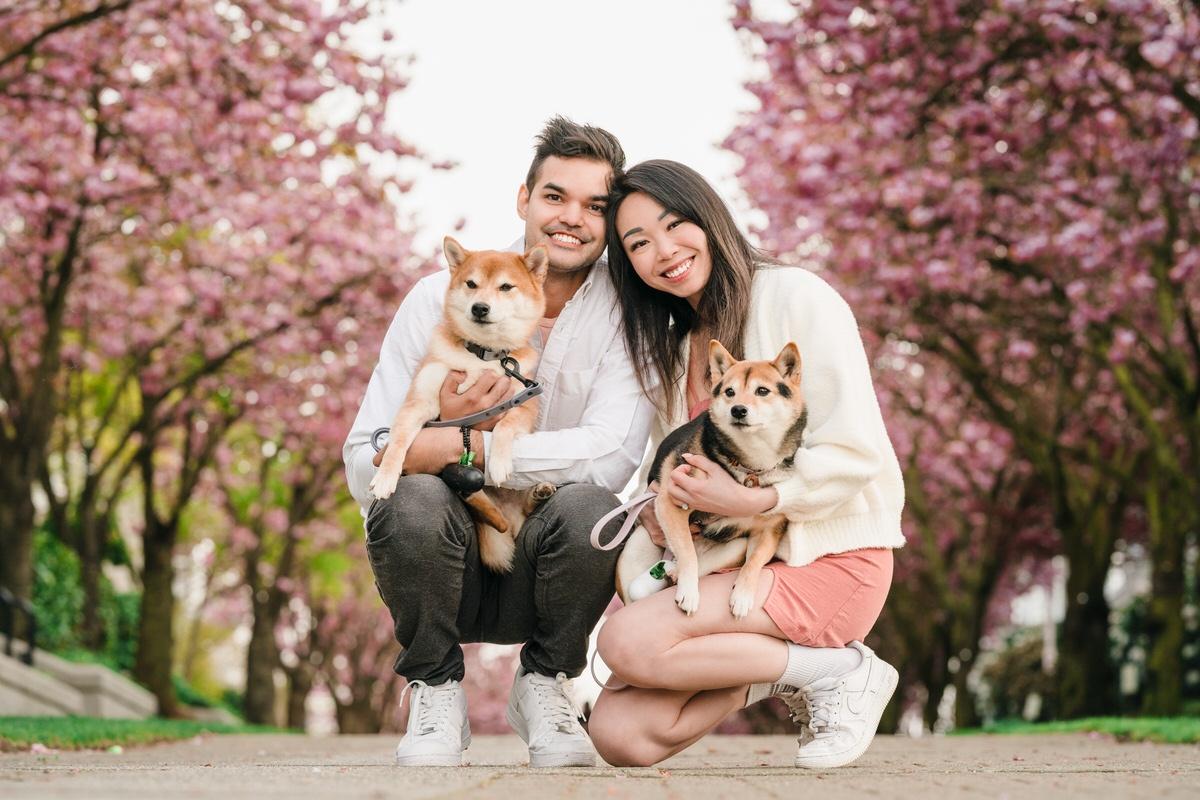 Family Photos with Dogs in Richmond | Cherry Blossoms at Dover Crescent  Neighbourhood Park